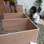 Kembang Sepatu, berdua saja tapi jadi juga tuh.